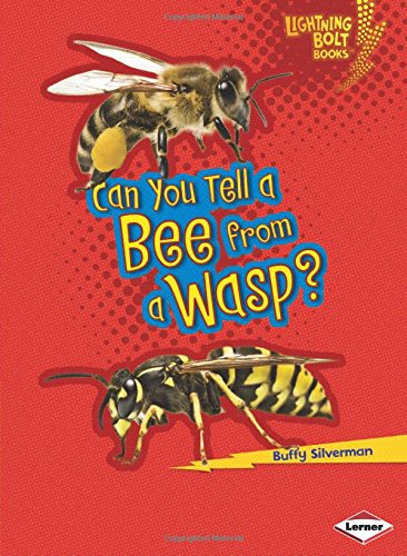 Can You Tell a Bee from a Wasp? by Buffy Silverman