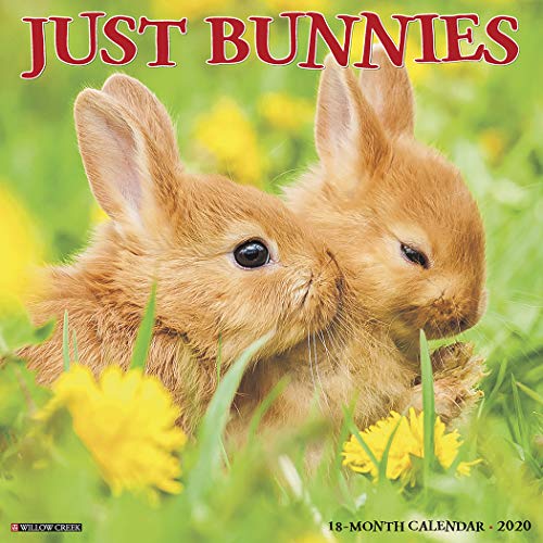Algopix Similar Product 13 - Just Bunnies 2020 Wall Calendar