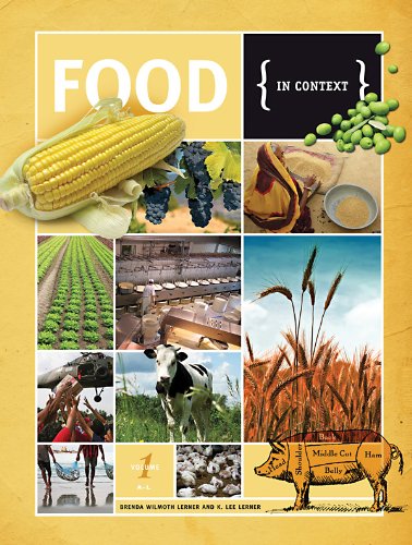Food In Context by Brenda Wilmoth Lerner