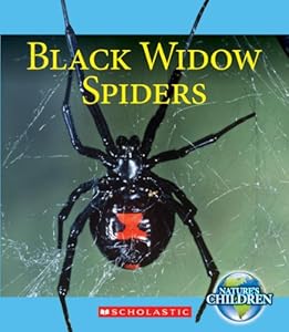 Black Widow Spiders