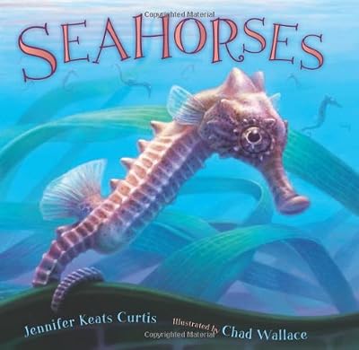 Seahorses
