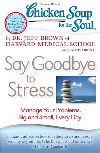 Chicken Soup for the Soul: Say Goodbye to Stress: Manage Your Problems, Big and Small, Every Day by Liz Neporent