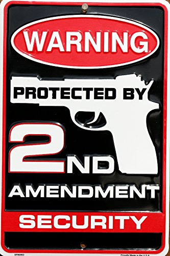 1 X Warning Protected By 2nd Amendment Security 8 X 12 Metal Sign