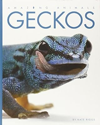 Amazing Animals Geckos