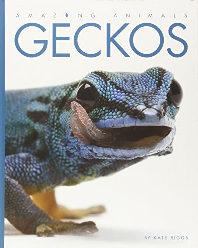 Amazing Animals Geckos by Kate Riggs