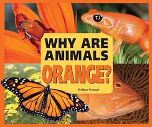 Why Are Animals Orange? (Rainbow of Animals)