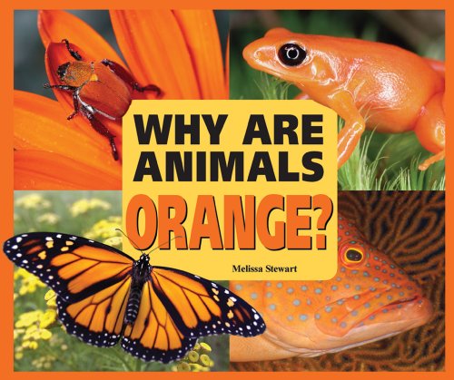 Why Are Animals Orange? (Rainbow of Animals) by Melissa Stewart