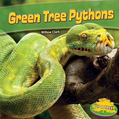 Green Tree Pythons (Up a Tree (Powerkids)) by Willow Clark