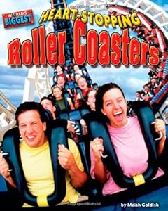Heart-Stopping Roller Coasters