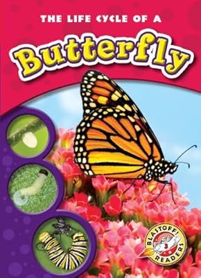 The life cycle of a butterfly
