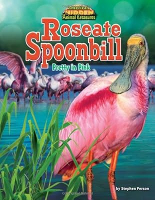 Roseate Spoonbill: Pretty in Pink