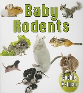 Baby Rodents