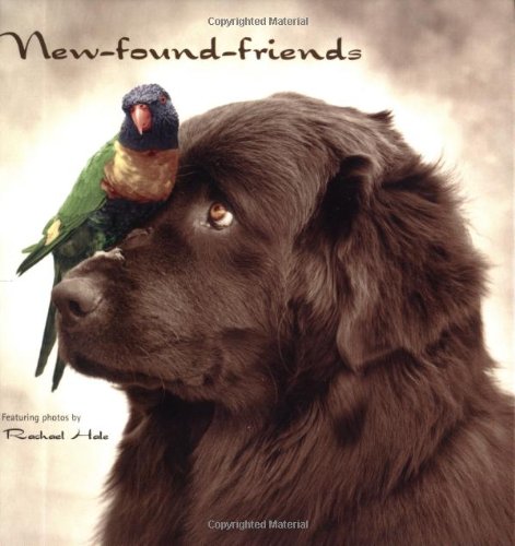 New-found-friends by Rachael Hale