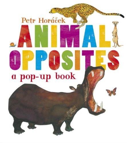 Animal Opposites by Petr Horacek 
			
			
		
		
		
       	 
       		
       			(Author, Illustrator)