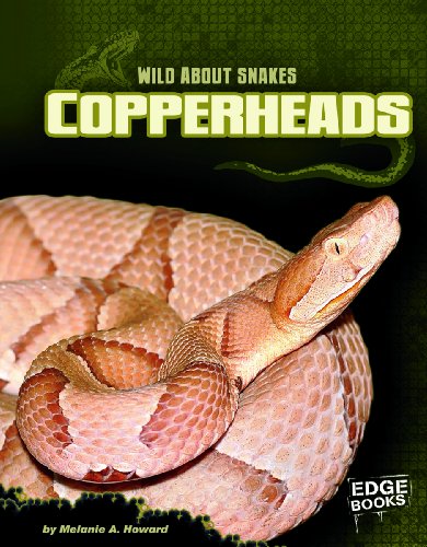 Copperheads by Melanie A. Howard