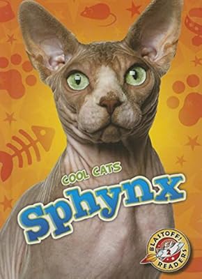Sphynx