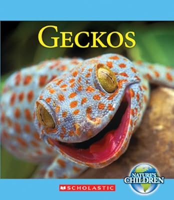Geckos