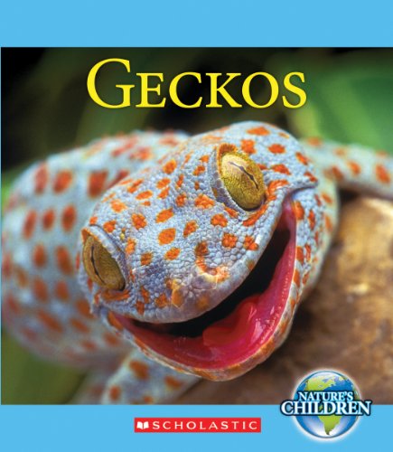 Geckos by Katie Marsico