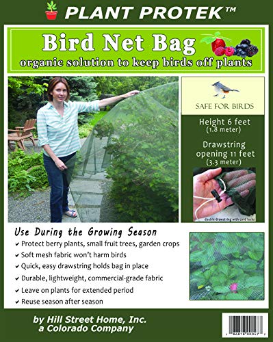 Algopix Similar Product 16 - Bird Net Bag  Soft Mesh Net  Safe for