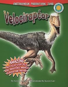Velociraptor (Smithsonian Prehistoric Zone)