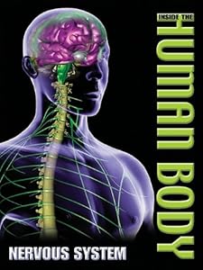 Nervous System