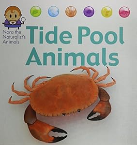 Tide Pool Animals