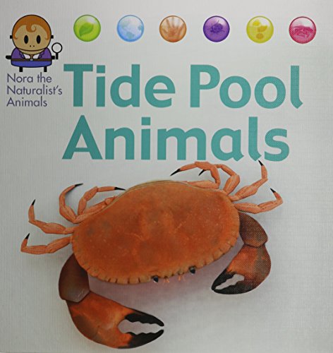 Tide Pool Animals by David West