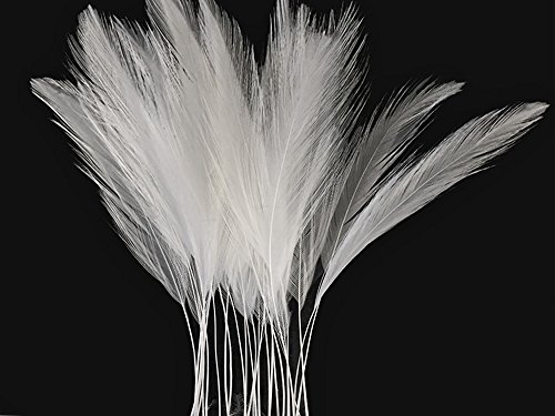 Algopix Similar Product 20 - Rooster Feathers  White Stripped