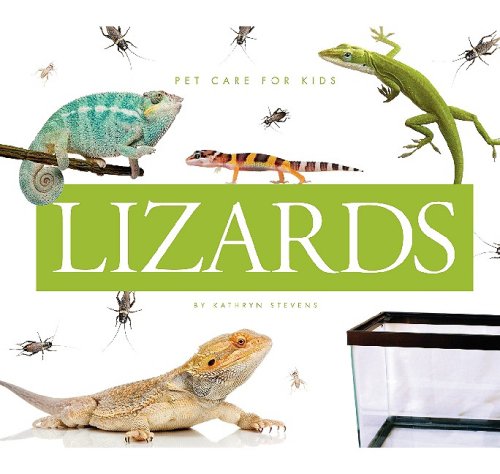 Lizards by Kathryn Stevens