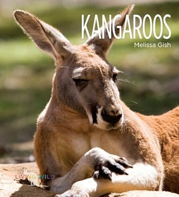 Kangaroos