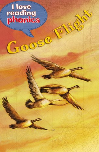 Goose Flight by Ticktock