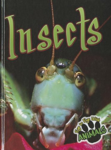 Insects by Don McLeese