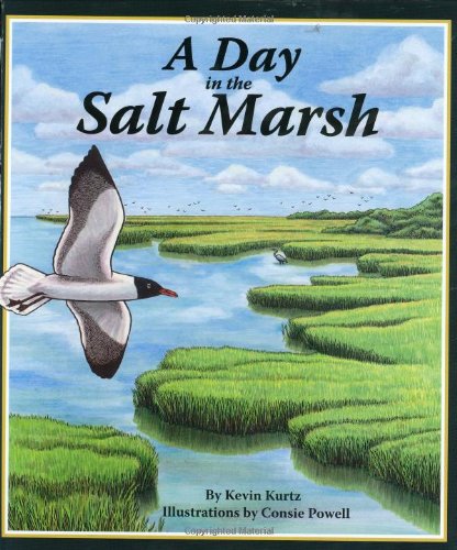 A Day in the Salt Marsh by Kevin Kurtz
