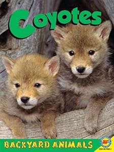 Coyotes with Code