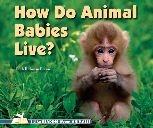 How Do Animal Babies Live? by Faith Hickman Brynie