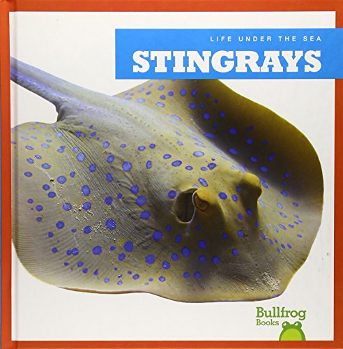 Stingrays by Cari Meister
