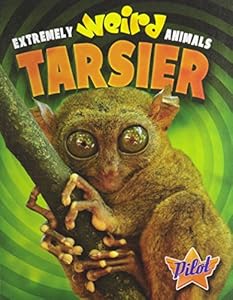Tarsier