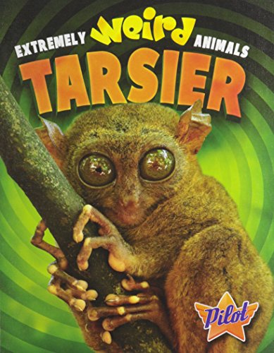 Tarsier by Christina Leaf