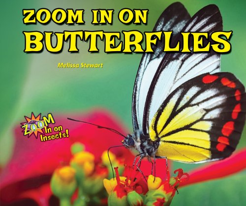 Zoom in on Butterflies by Melissa Stewart