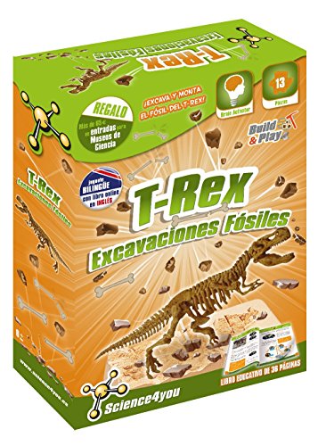 Excavaciones Fósiles T-Rex