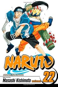 Naruto, Vol. 22: Comrades