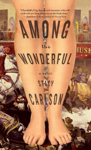 Among the Wonderful: A Novel by Louise Erdrich