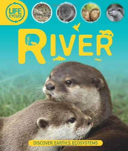 Life Cycles: River by Sean Callery