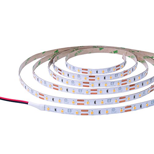 Algopix Similar Product 4 - Armacost Lighting 82 ft Soft White
