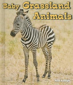 Baby Grassland Animals
