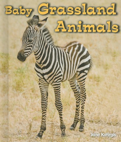 Baby Grassland Animals by Jane Katirgis