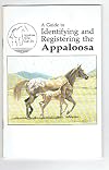 A Guide to Identifying and Registering the Appaloosa