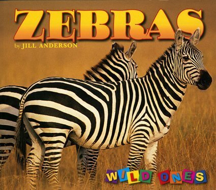 Zebras by Jill Anderson