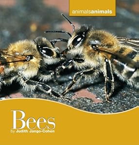 Bees (Animals, Animals)