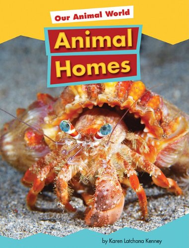 Animal Homes by Karen Latchana Kenney